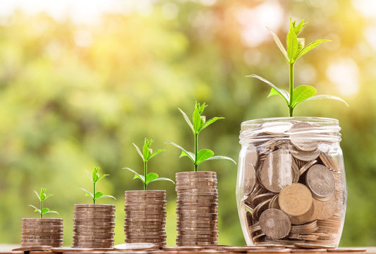Quanto costa la carta igienica?