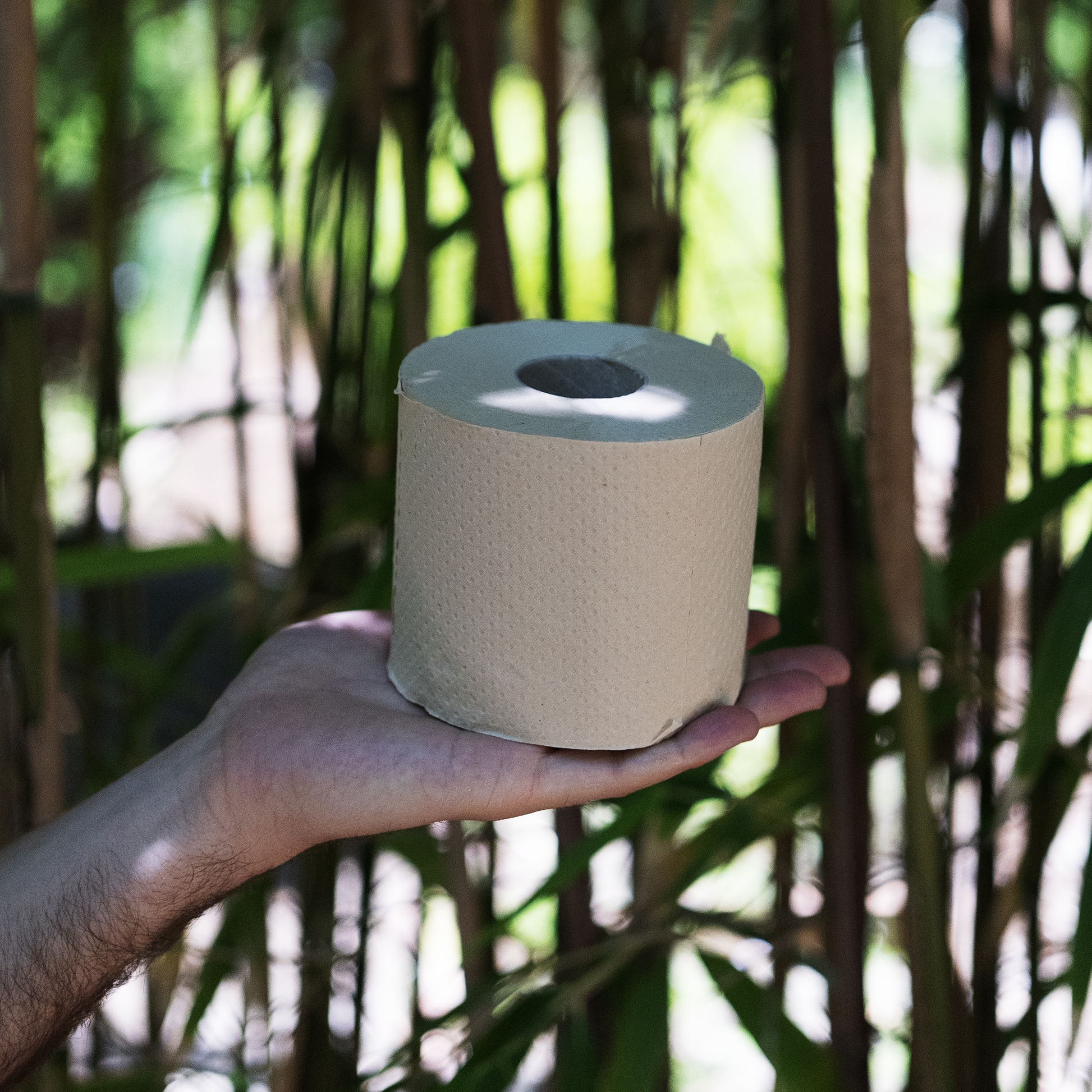 carta igienica bamboo